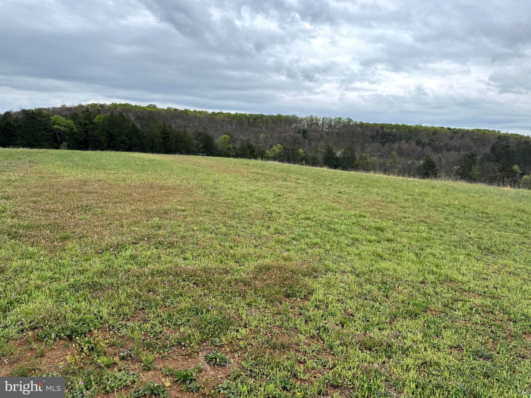 7.4 Mountain Falls Road Winchester, VA 22602 - Photo 11 of 15 a view of a field with an ocean