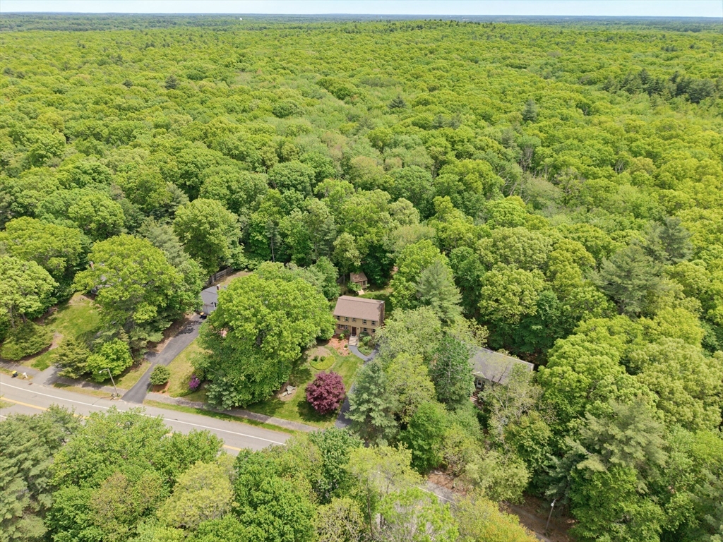218 Hampton Road Sharon, MA 02067 - Photo 34 of 34