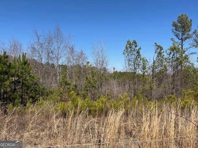 a view of mountain with trees in the background