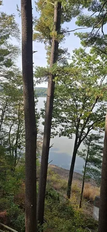 a view of a yard with a trees