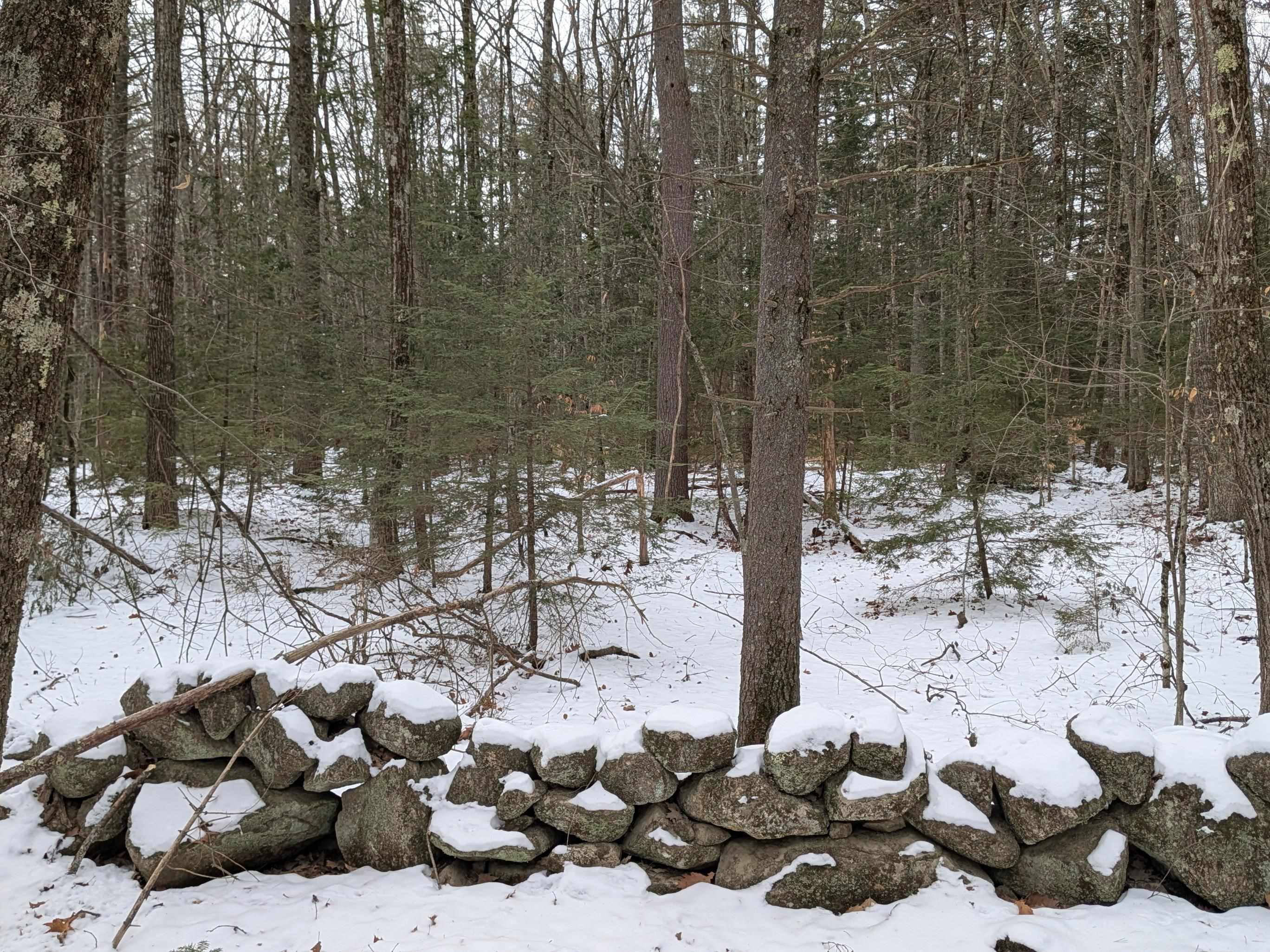 Wilton Road Mason, NH 03048 - Photo 12 of 13