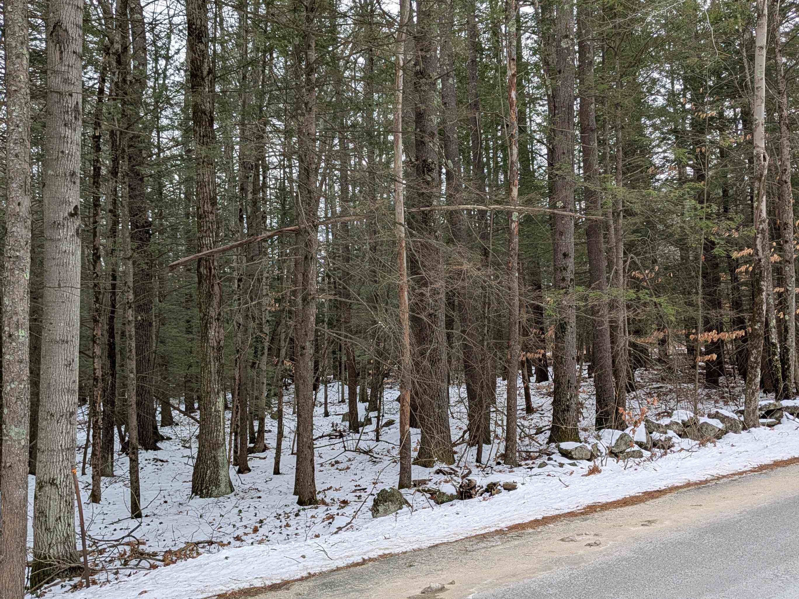 Wilton Road Mason, NH 03048 - Photo 5 of 13