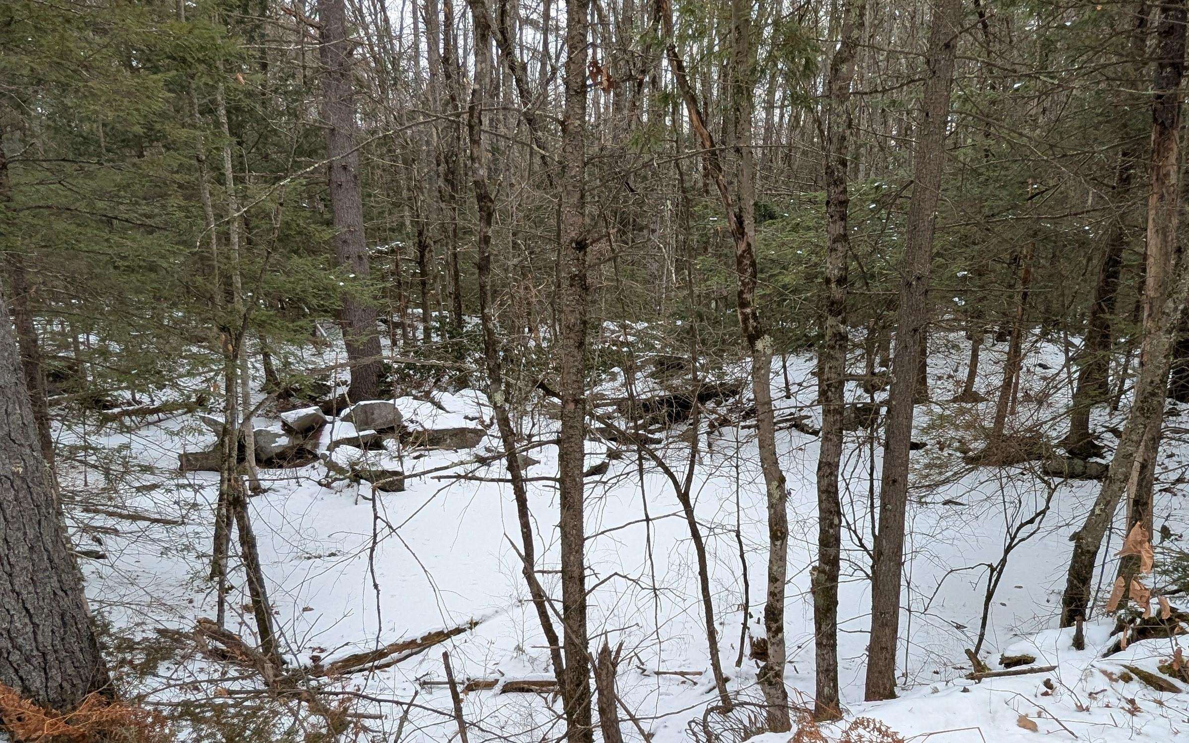 Wilton Road Mason, NH 03048 - Photo 6 of 13