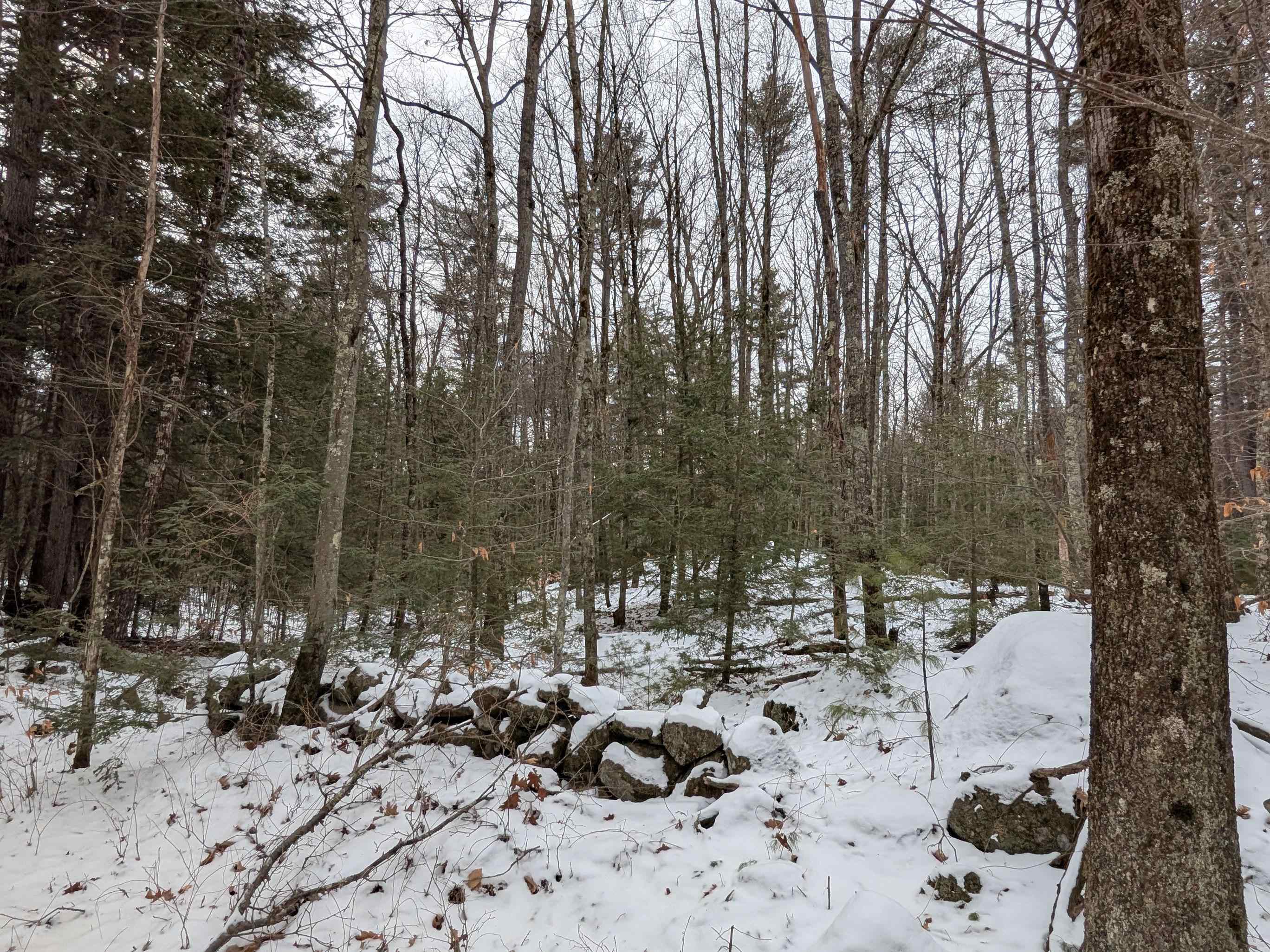 Wilton Road Mason, NH 03048 - Photo 9 of 13