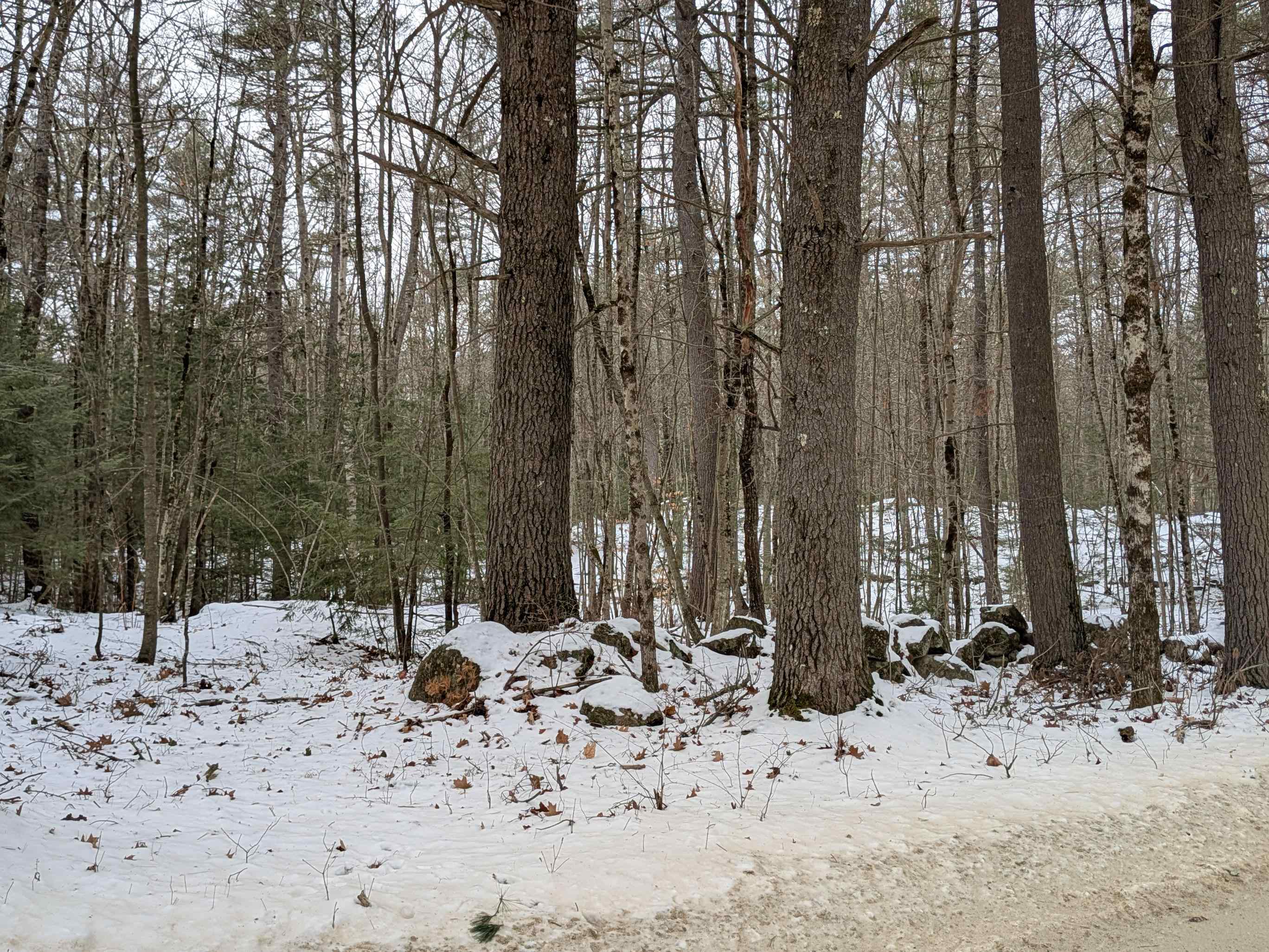 Wilton Road Mason, NH 03048 - Photo 10 of 13