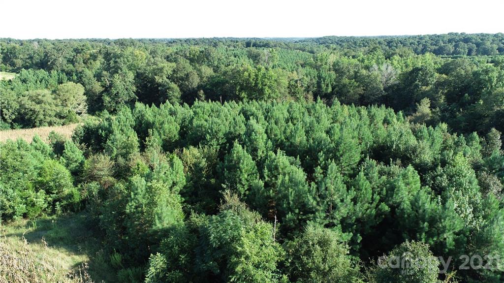 Tbd Fish Road Marshville, NC 28103 - Photo 14 of 19 a view of a lush green forest with trees and houses