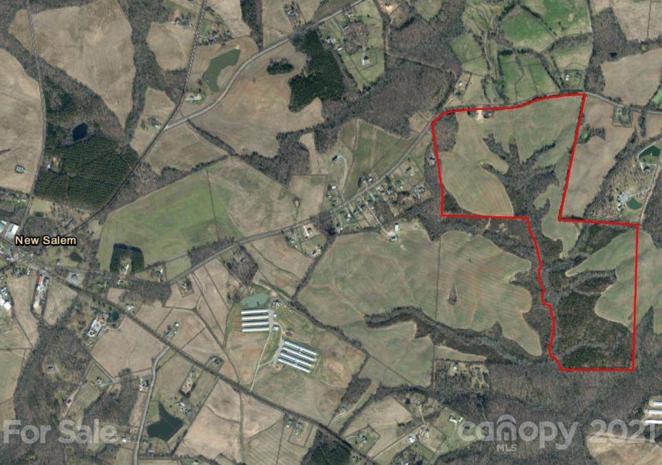 Tbd Fish Road Marshville, NC 28103 - Photo 15 of 19 a view of a painting on a tree