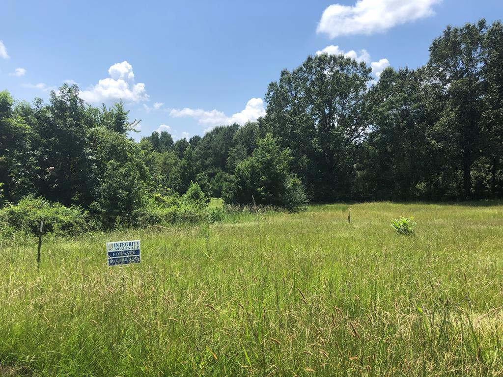 0 Cannonsburg Road Natchez, MS 39120 - Photo 1 of 5 Main View