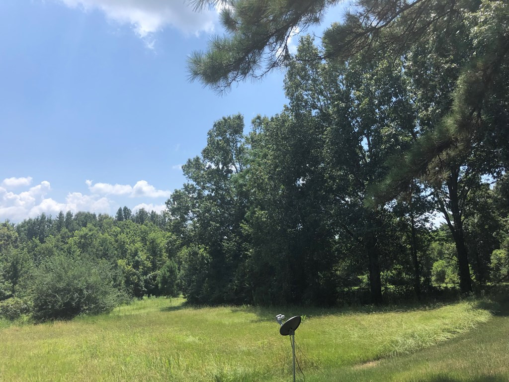 0 Cannonsburg Road Natchez, MS 39120 - Photo 2 of 5 Photo 2