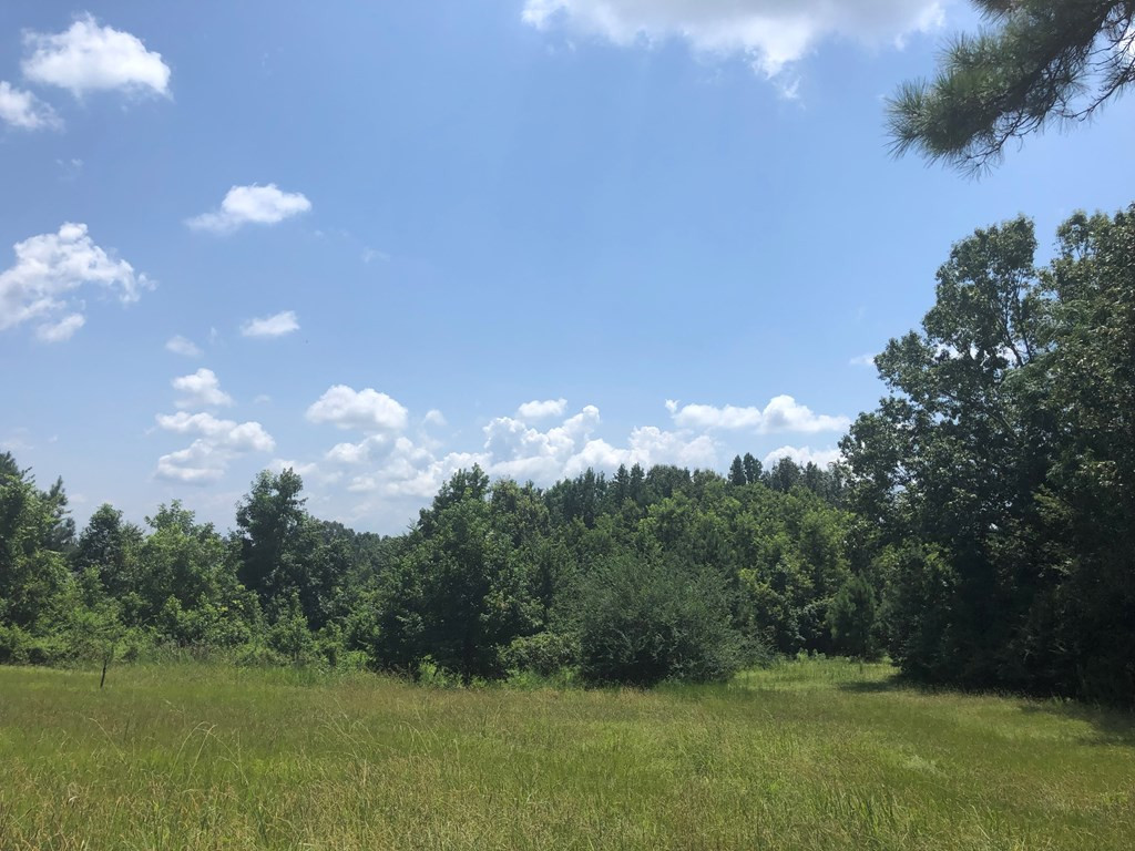 0 Cannonsburg Road Natchez, MS 39120 - Photo 3 of 5 Photo 3