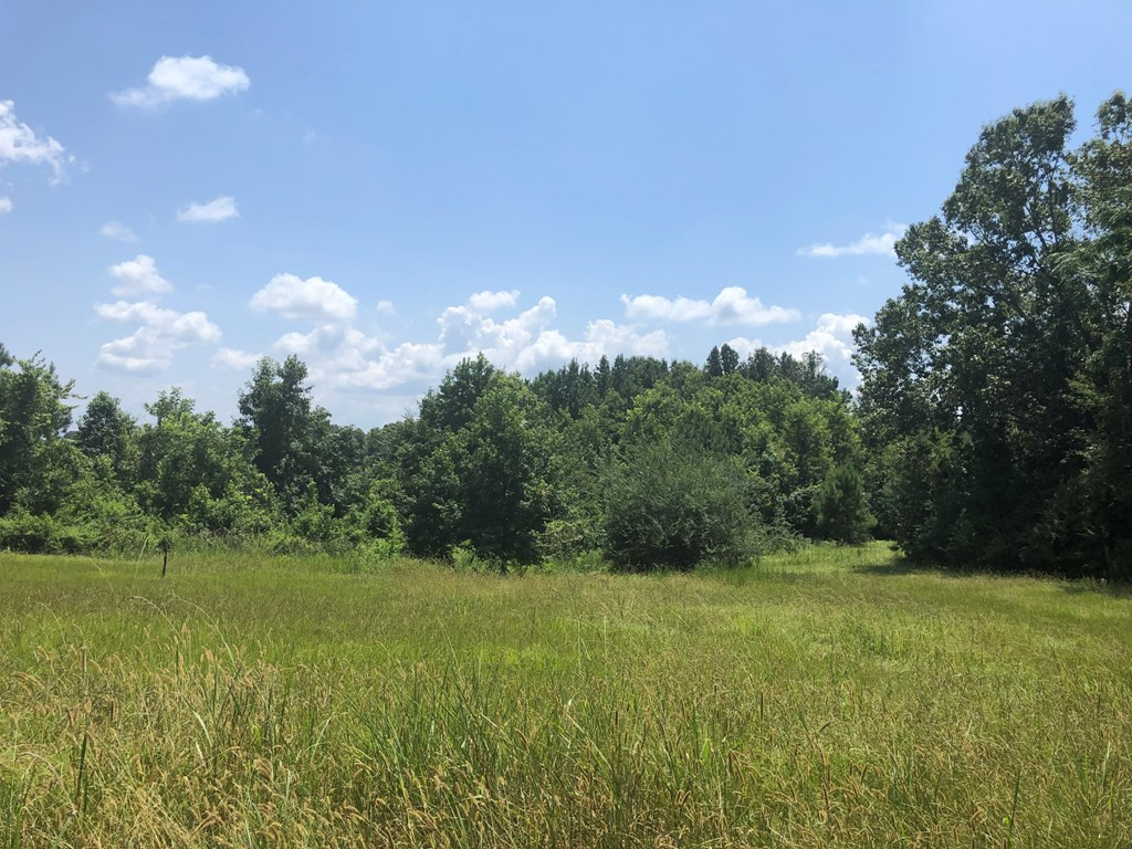 0 Cannonsburg Road Natchez, MS 39120 - Photo 4 of 5 Photo 4
