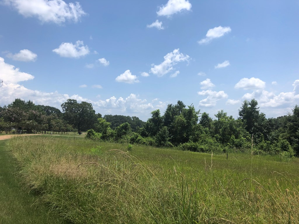 0 Cannonsburg Road Natchez, MS 39120 - Photo 5 of 5 Photo 5