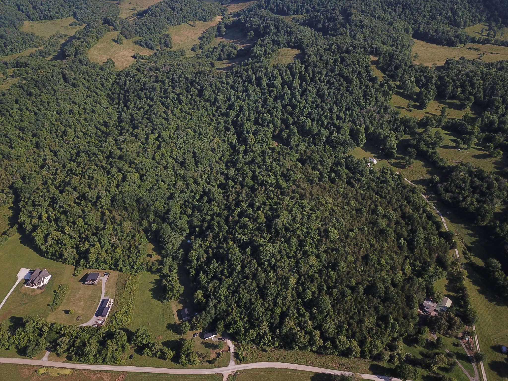 0 Norton Branch Road Beechgrove, TN 37018 - Photo 7 of 36 Gallery Image 7