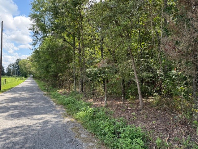 1858 Goforth Road Morrison, TN 37357 - Photo 4 of 4 a view of a forest with trees in the background