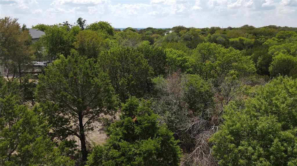 3027 Hillside Court Whitney, TX 76692 - Photo 11 of 21 an aerial view of a houses with a yard