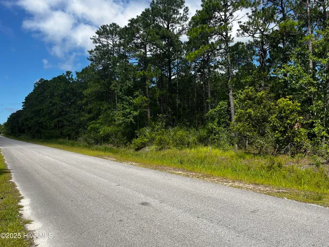 $49,900 | 19 West Boiling Spring Road, Boiling Spring Lakes, NC 28461