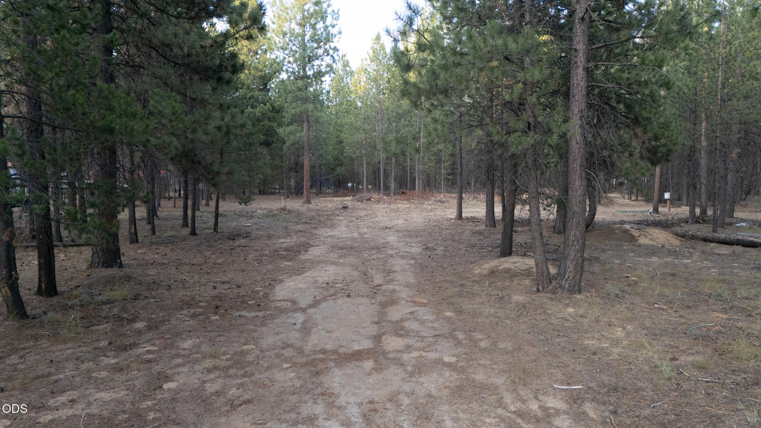 53132 Andrews Road La Pine, OR 97739 - Photo 4 of 6
