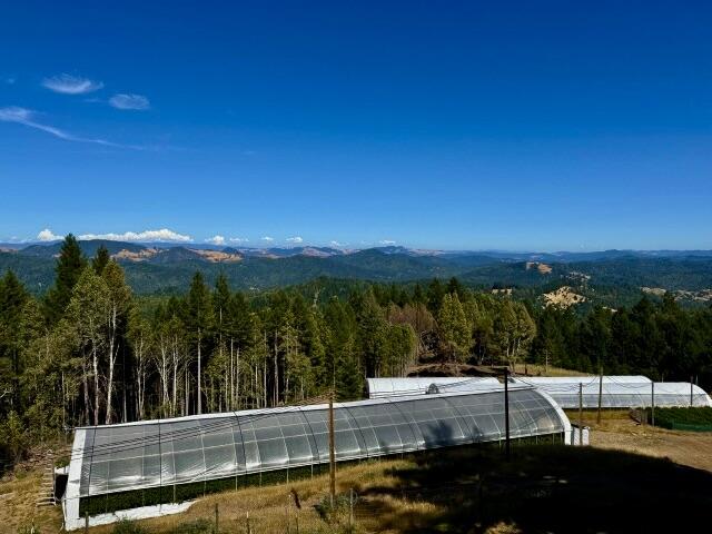 9320 Wilder Ridge Road Garberville, CA 95542 - Photo 1 of 60