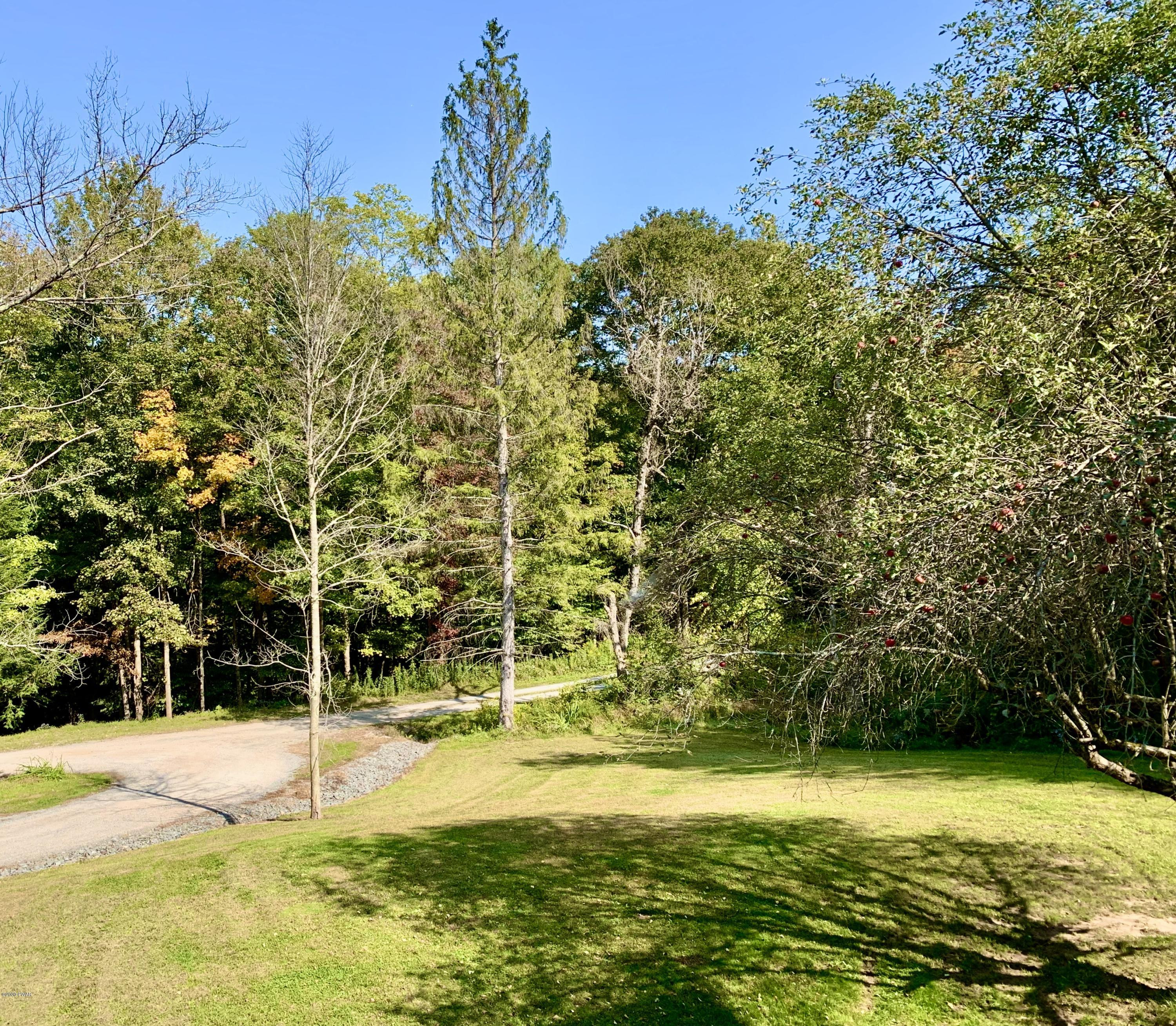 66 Station Hill Road Prompton, PA 18456 - Photo 39 of 47