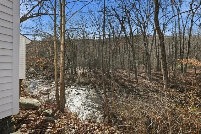 a view of a forest filled with trees