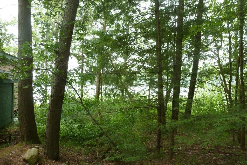 104 Torsey Shores Road Readfield, ME 04355 - Photo 23 of 25 Photo