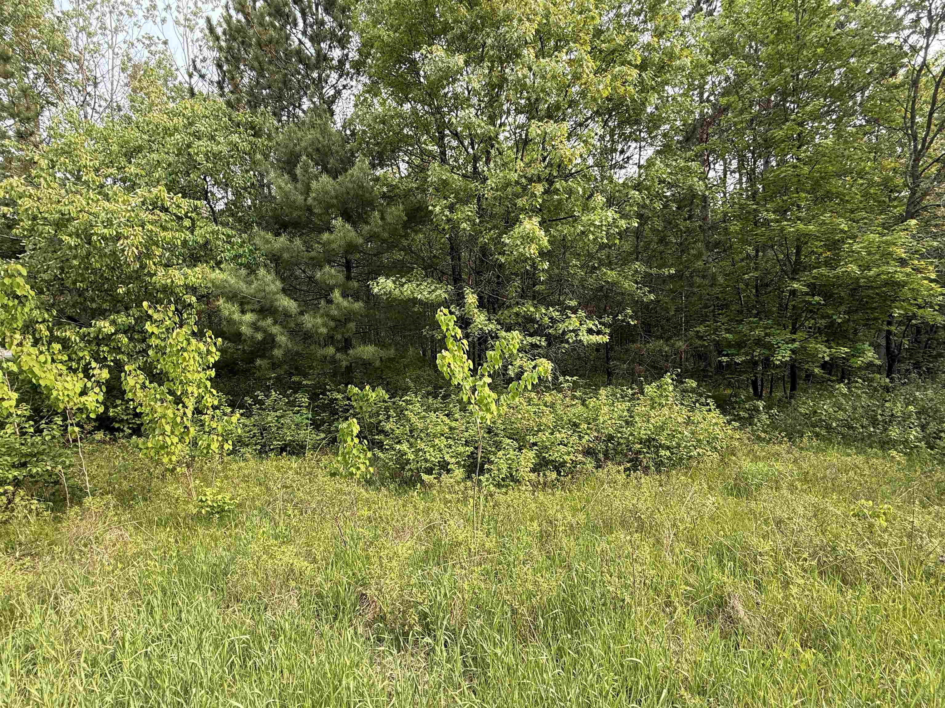 W1926 Great Bear Road Keshena, WI 54135 - Photo 2 of 5