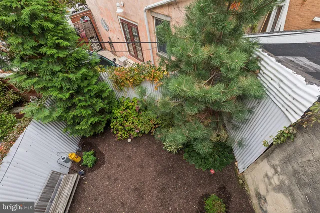 a view of a backyard with plants