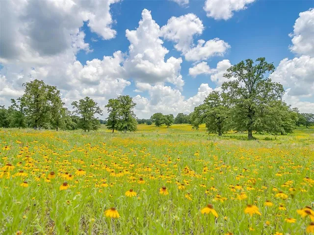 $7,700,000 | 1226 Farm To Market 67, Covington, TX 76636