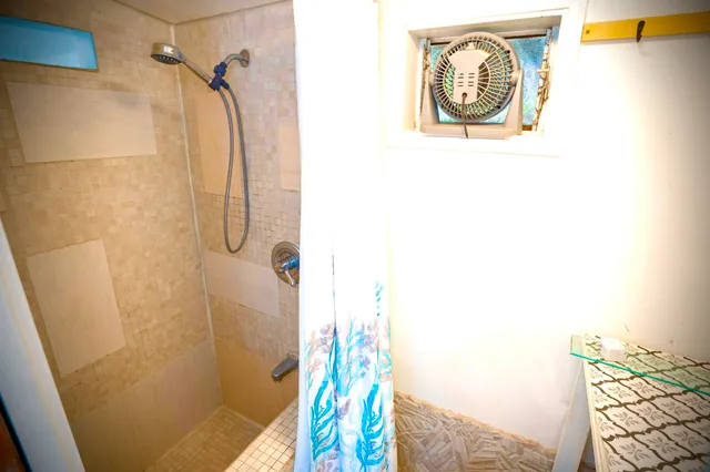 a view of a backyard with plants