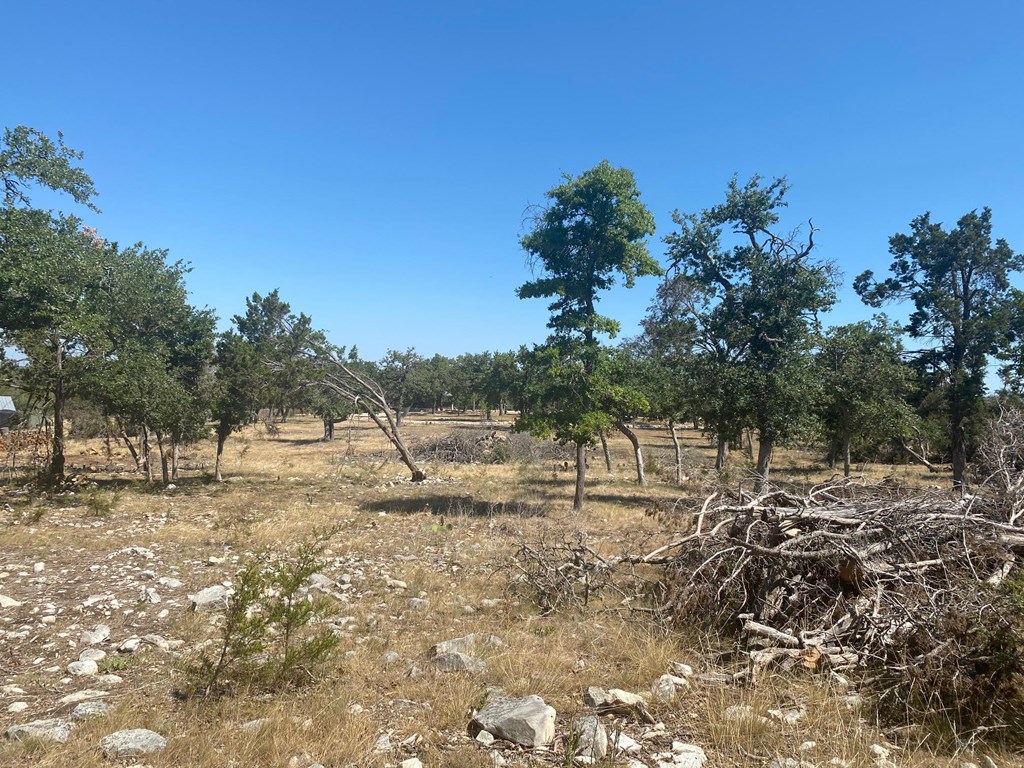 0 Liddell Road Fredericksburg, TX 78624 - Photo 2 of 20 Gallery Image 2