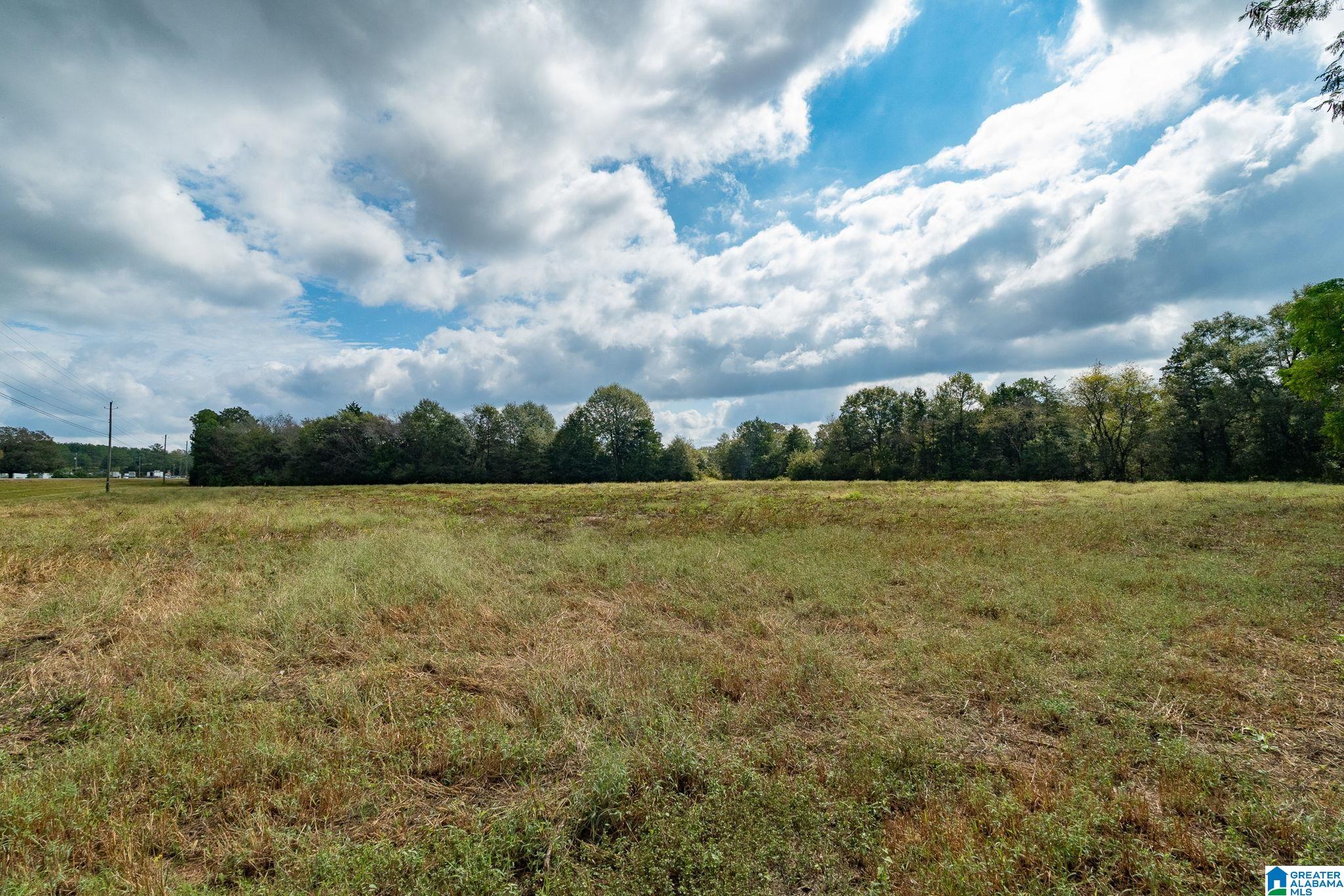 0 Allred Road, Unit PARCEL #5 Lincoln, AL 35096 - Photo 4 of 24