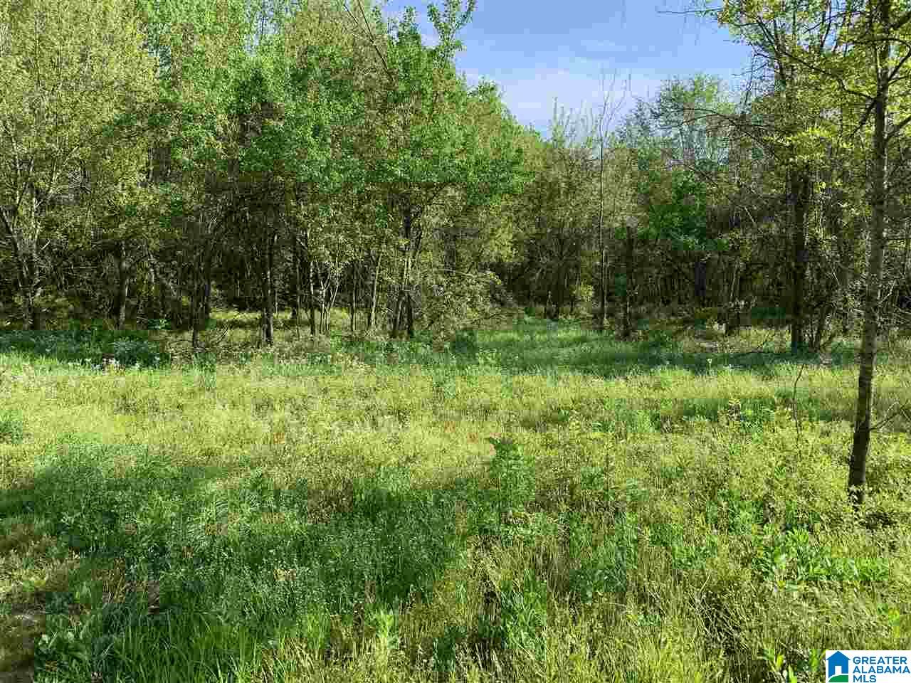 0 Highway 11 Springville Al, Unit 30 Springville, AL 35146 - Photo 1 of 6