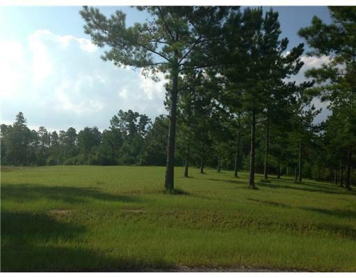 0 Old Dixie Road Saucier, MS 39574 - Photo 1 of 5 Primary Photo