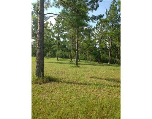 0 Old Dixie Road Saucier, MS 39574 - Photo 2 of 5 Additional Photo