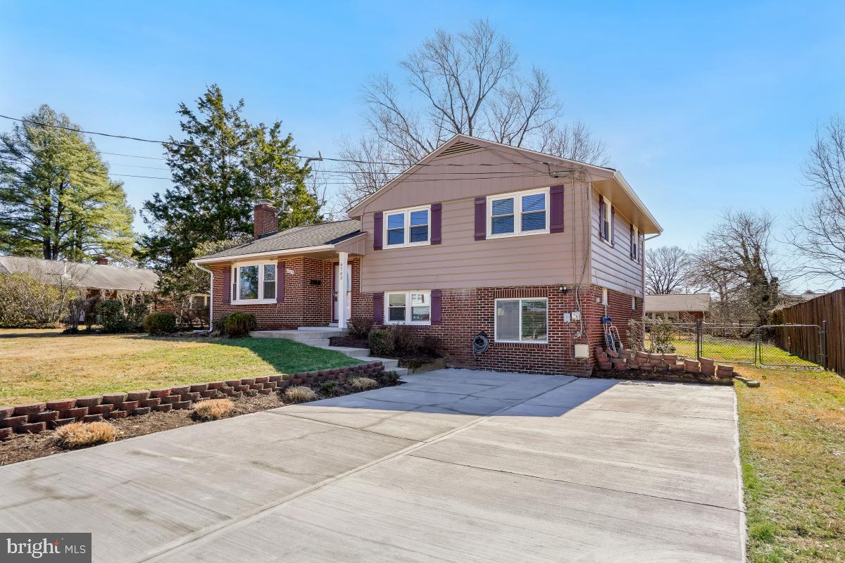 6703 Anders Terrace Springfield, VA 22151 - Photo 2 of 33 a front view of a house with a yard and trees