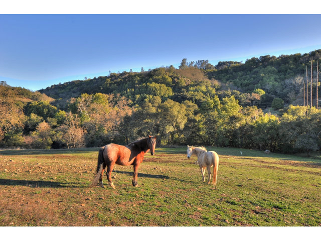 17315 Uvas Road Morgan Hill, CA 95037 - Photo 5 of 15 Gallery Image 5