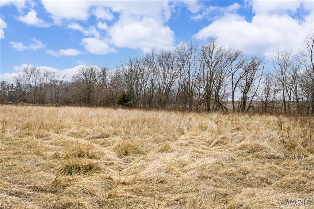 145 4th Street New Memphis, IL 62266 - Photo 40 of 53