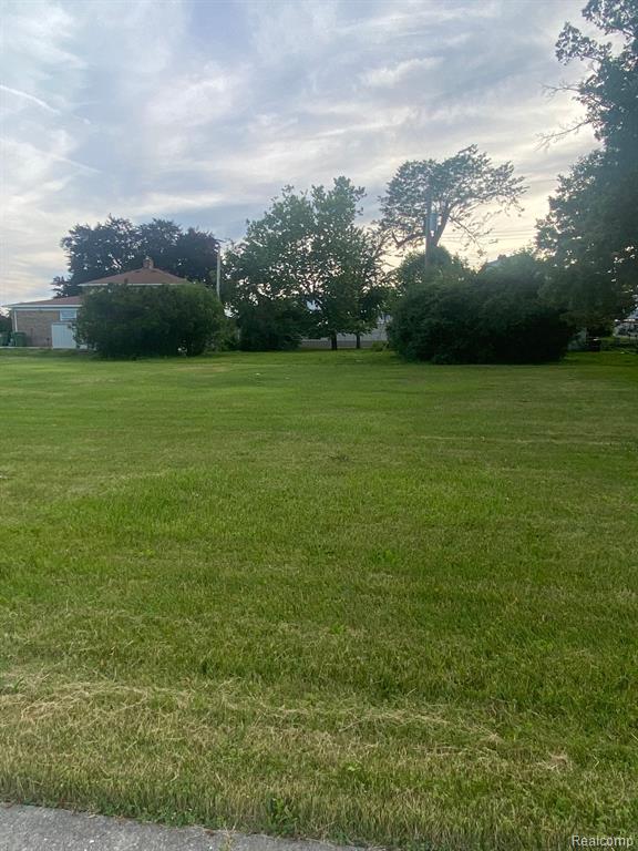 0 Eureka Road Road Wyandotte, MI 48192 - Photo 4 of 4