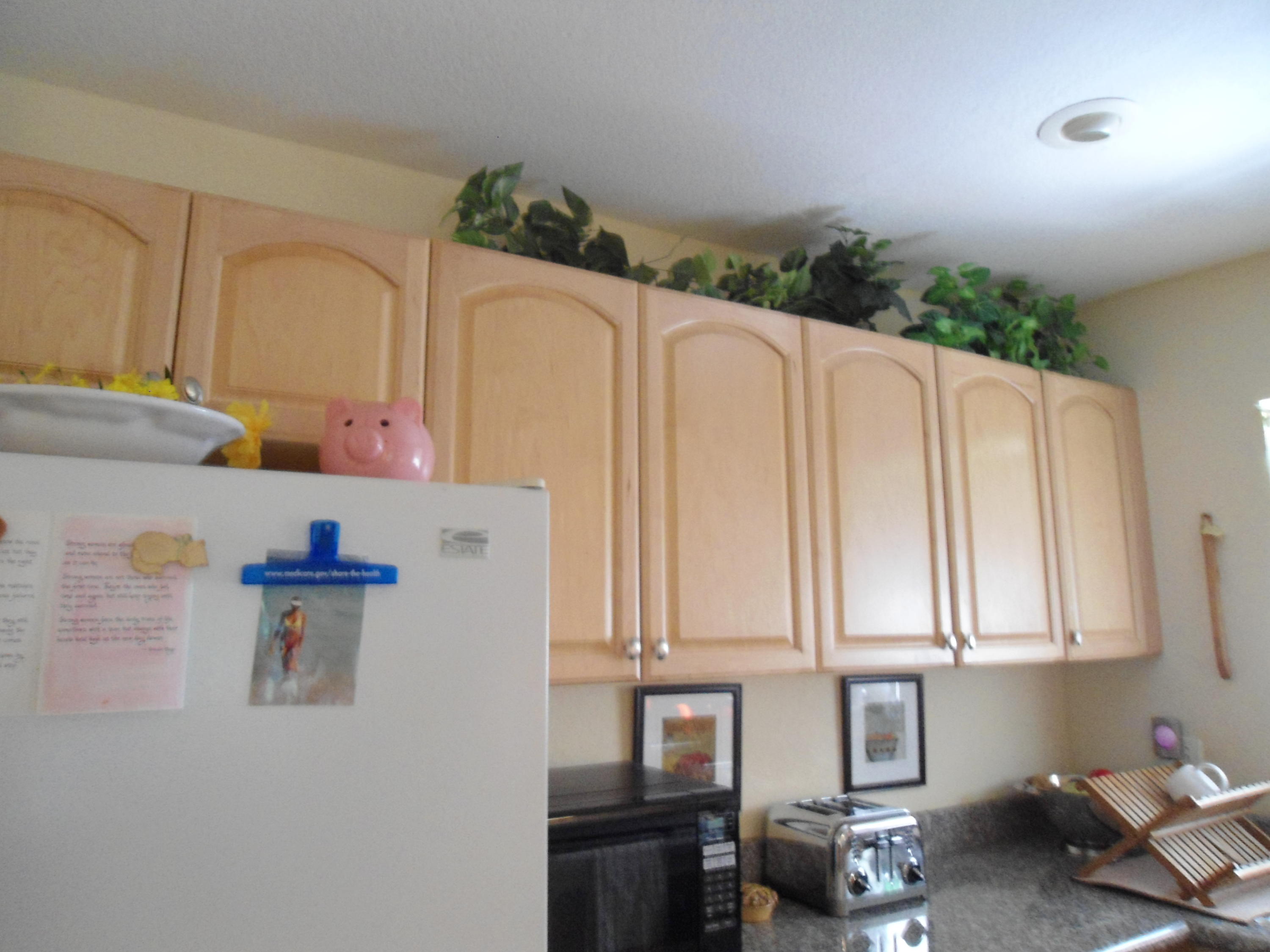 1050 Northwest 13th Street, Unit 279D Boca Raton, FL 33486 - Photo 37 of 39 4_15 039
