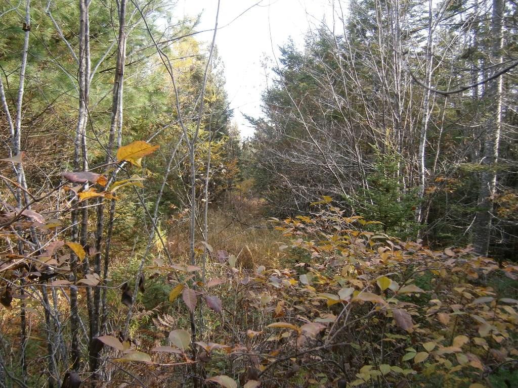 0 Roque Bluffs Road Jonesboro, ME 04648 - Photo 1 of 34 Maine Land for Sale