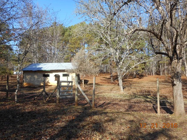 979 Old Cabaniss Road Forsyth, GA 31029 - Photo 24 of 33 a backyard of a house with large trees