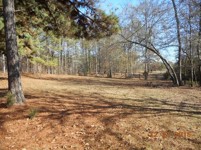 979 Old Cabaniss Road Forsyth, GA 31029 - Photo 27 of 33 a view of a yard with large trees