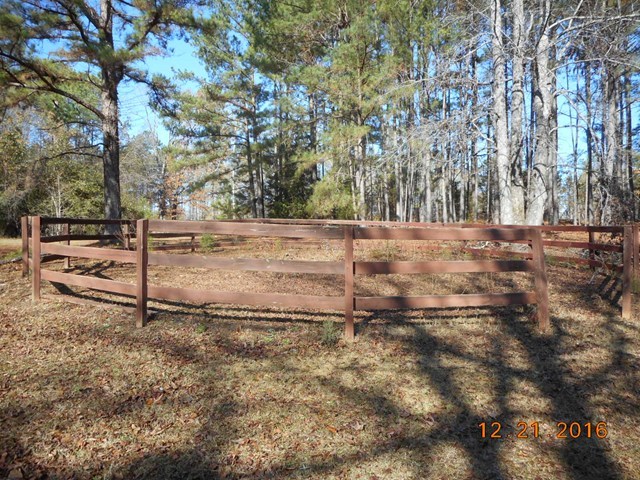 979 Old Cabaniss Road Forsyth, GA 31029 - Photo 28 of 33 a view of a yard with an trees