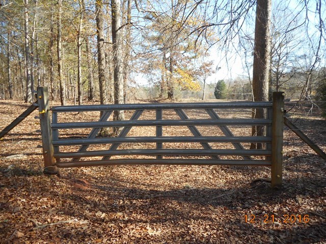 979 Old Cabaniss Road Forsyth, GA 31029 - Photo 30 of 33 a view of a yard with wooden fence