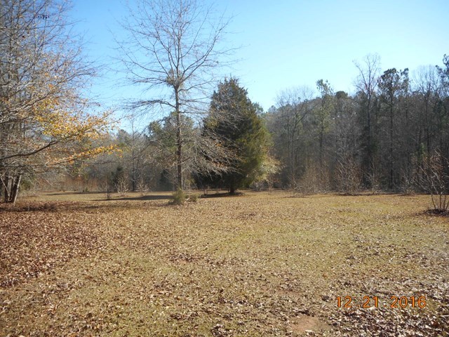979 Old Cabaniss Road Forsyth, GA 31029 - Photo 32 of 33 a backyard of a house with trees