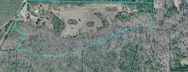 979 Old Cabaniss Road Forsyth, GA 31029 - Photo 33 of 33 a view of a forest with a lake