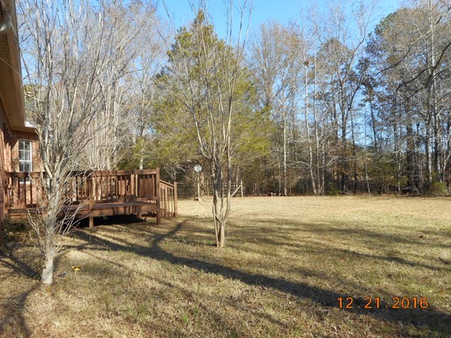 979 Old Cabaniss Road Forsyth, GA 31029 - Photo 5 of 33 a view of yard with trees