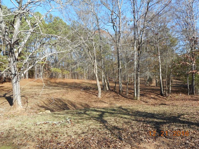 979 Old Cabaniss Road Forsyth, GA 31029 - Photo 7 of 33 a view of dirt yard with a tree