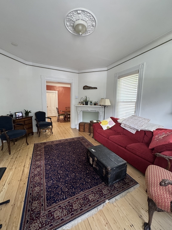 5 Spring Park Avenue, Unit 1 Boston, MA 02130 - Photo 3 of 24 a living room with furniture and a rug