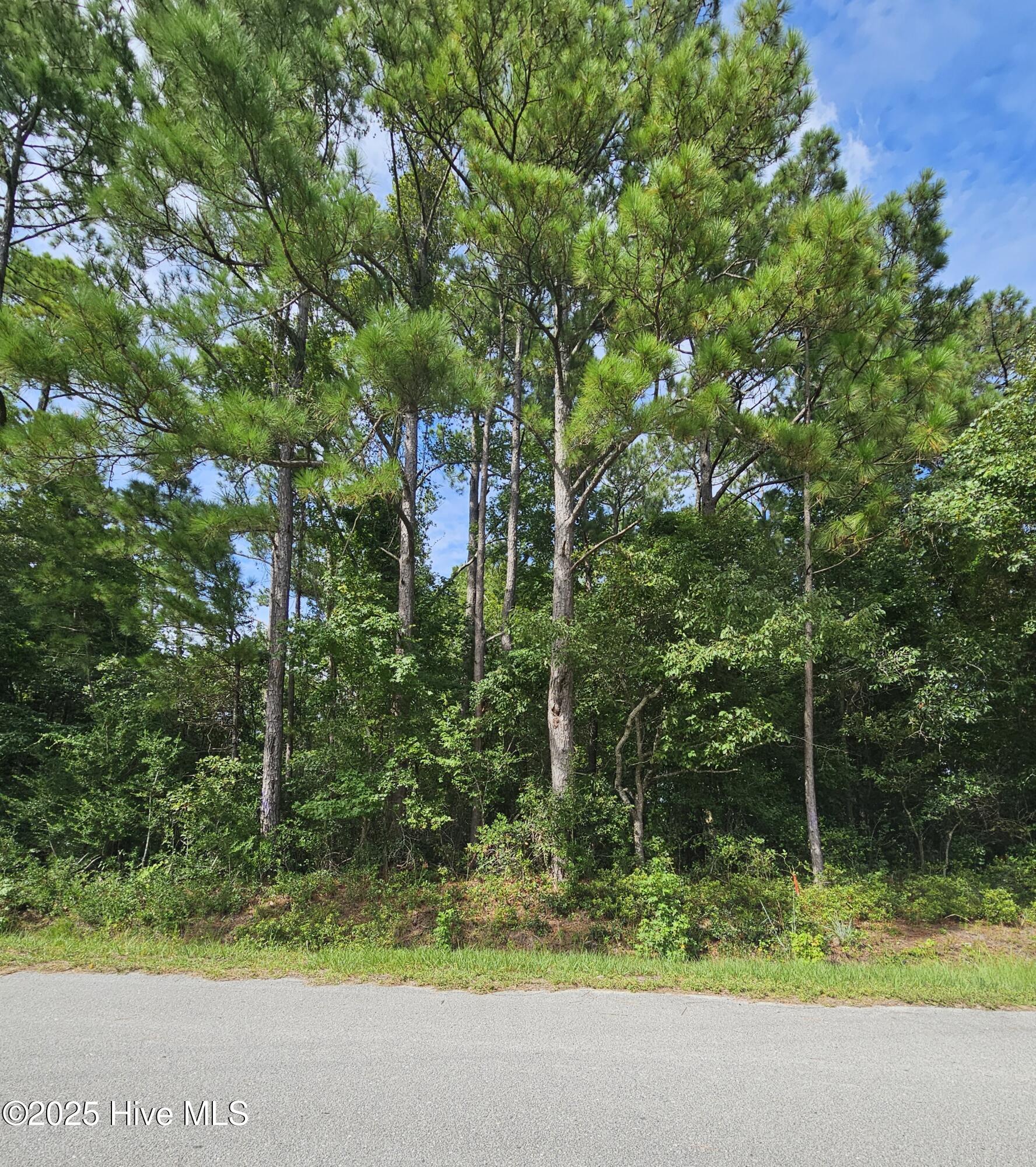 0 Hines Stump Sound Church Road Holly Ridge, NC 28445 - Photo 5 of 6 Road View
